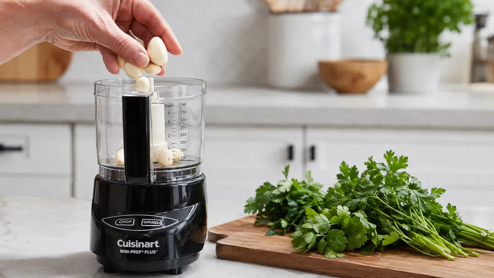 A hand dropping peeled garlic cloves into the bowl of a mini food processor next to a pile of fresh herb sprigs